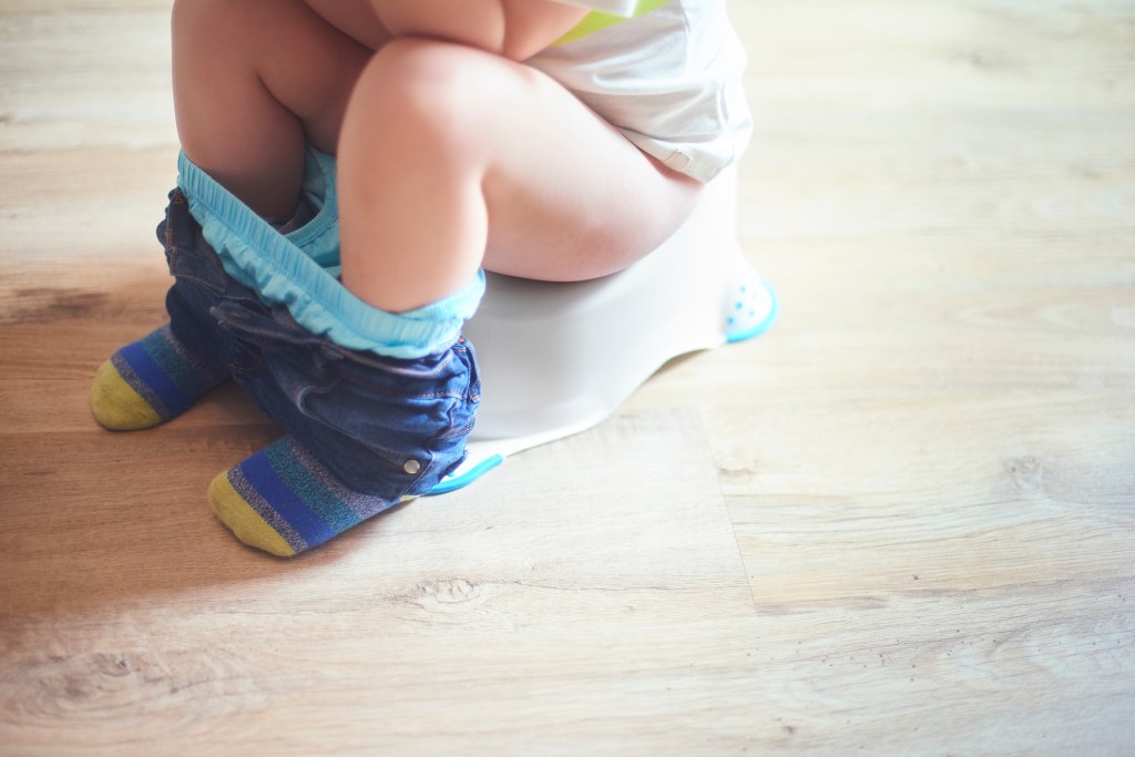Potty training toddler