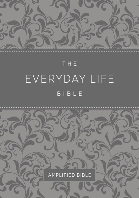 Everyday Life Bible (Fashion Edition: Gray Imitation Leather)