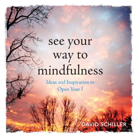 See Your Way to Mindfulness