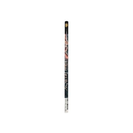 Michelangelo, Handwriting (Embellished Manuscripts Collection) Pencil
