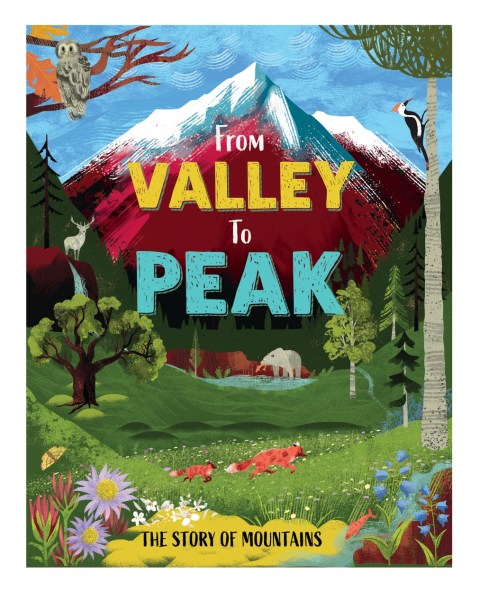 From Valley to Peak: The Story of Mountains