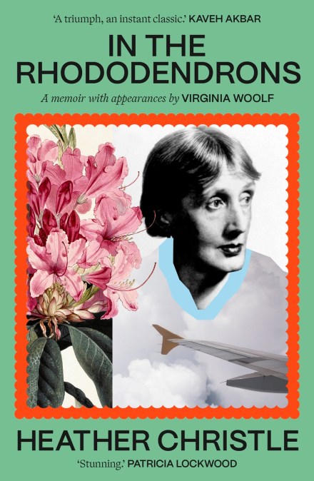 In the Rhododendrons