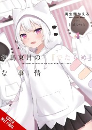 The BS Situation of Tougetsu Umidori, Vol. 4 (light novel)