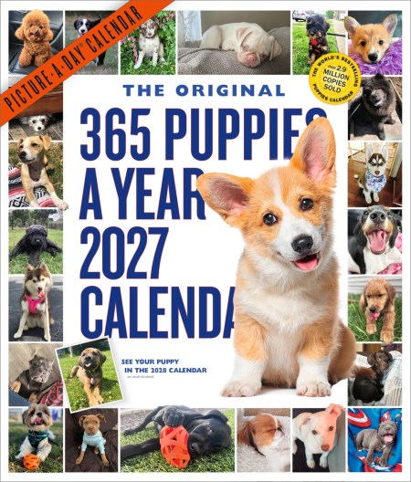 365 Puppies-A-Year Picture-A-Day® Wall Calendar 2027
