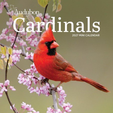 Audubon Cardinals Mini Wall Calendar 2027