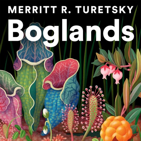 Boglands