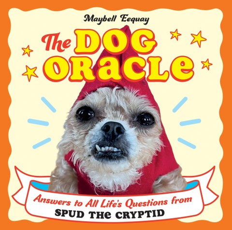 The Dog Oracle