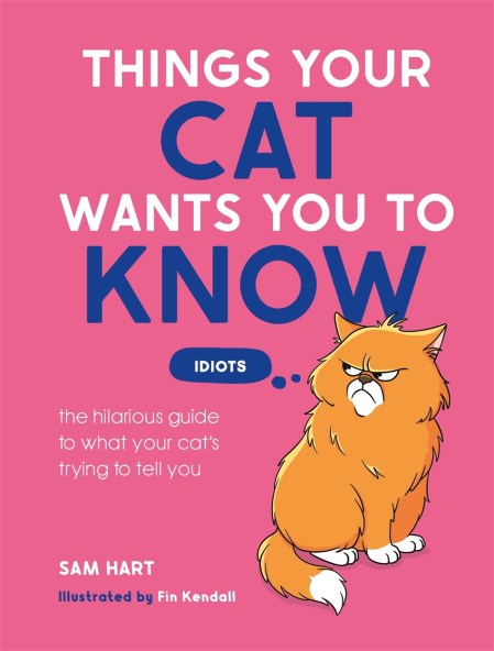 Things Your Cat Wants You to Know