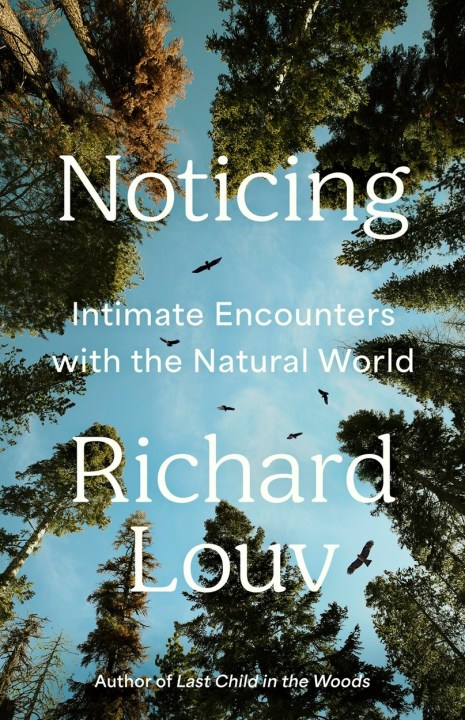 Noticing