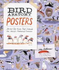 Bird Anatomy Posters